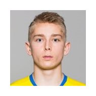 Йохан Браннефальк статистика