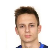 Ариян Бркович статистика