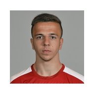 Александер Бургшталлер статистика