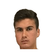 Дженк Шен статистика