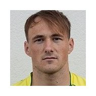 Дарио Томич статистика