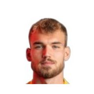 Давид Людвичек статистика
