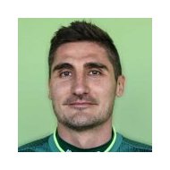 Никола Димитриевич статистика