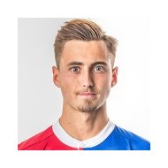 Доминик Робин Шмид статистика
