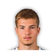 Дамиан Достанич статистика