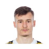 Робин Дзабич статистика