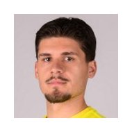 Элмедин Фазлич статистика