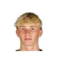 Фритц Флек статистика