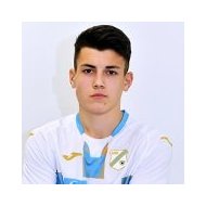 Нико Галешич статистика