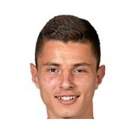 Недим Хаджич статистика