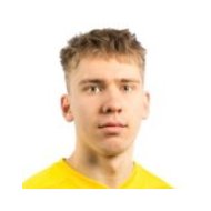 Танели Хамалайнен статистика