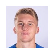 Харис Хайдаревич статистика