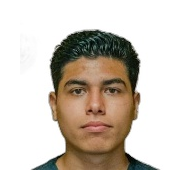 Jesus Arellano статистика