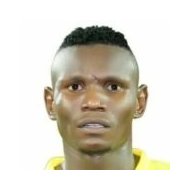 Амир Камал Сулиман статистика