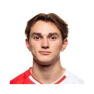 Lucas Gardenier статистика