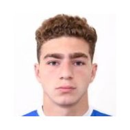 Гаррик Левин статистика