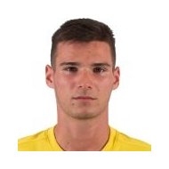 Патрик Лейтнер  статистика