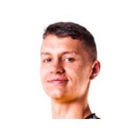 Даниан Павлаш  статистика