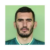 Войин Павлович статистика