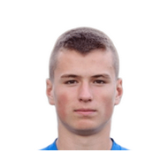 Виктор Плеснирович статистика