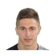 Айдин Реджич статистика