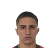 Жоао Мигел Милейрао Серхио статистика