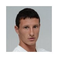 Драголюб Срнич статистика
