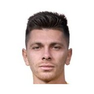 Адриан Кристиан Мариан Стер  статистика