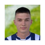 Дарко Стоянович статистика