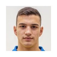 Душан Стоинович статистика