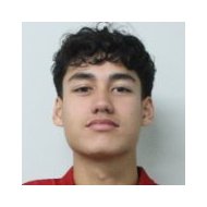 Рафаэль Стрёйк статистика