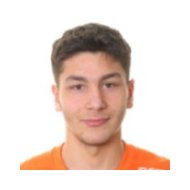 Мичел Терманини статистика