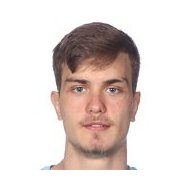 Павле Вагич статистика