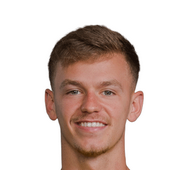 Доминик Ваннер статистика