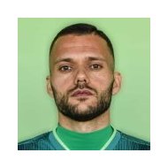Неманья Видич статистика
