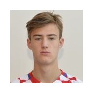 Фран Вуйнович  статистика