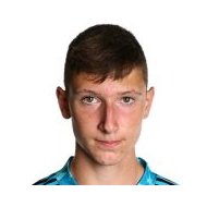 Бернард Зрилич статистика