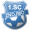 Логотип футбольный клуб Зноймо