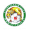 Логотип футбольный клуб Телфс