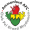 Логотип футбольный клуб Амманфорд