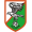 Логотип футбольный клуб Сокол (Клечев)