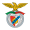 Логотип футбольный клуб Бенфика (Кастело Бранко)