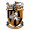 Логотип футбольный клуб Фолкстоун Инвикта