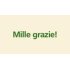 Mille grazie