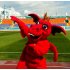 DRAKON 16RU