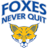Супер паркинг сказка дом Foxes