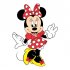 Mikki Mouse