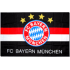 FCBayernM