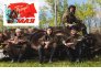 Сычев, Пиняев, Глушаков и Батраков