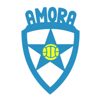 Футбольный клуб Амора результаты игр